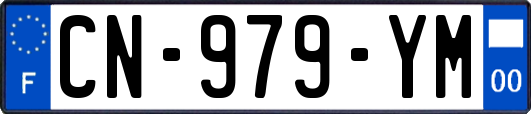 CN-979-YM