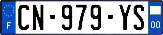 CN-979-YS