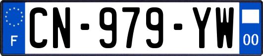 CN-979-YW