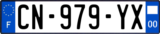 CN-979-YX