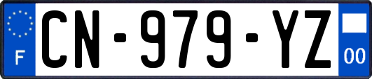 CN-979-YZ