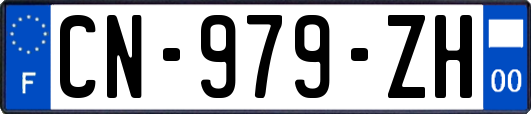 CN-979-ZH