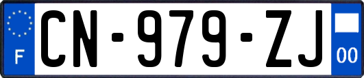 CN-979-ZJ