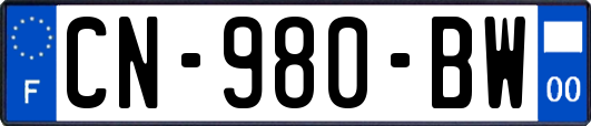 CN-980-BW