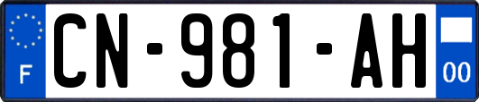 CN-981-AH