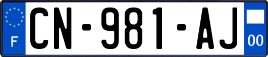CN-981-AJ