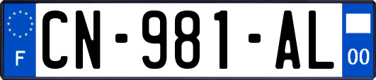 CN-981-AL