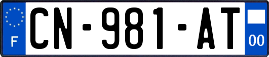 CN-981-AT