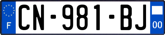 CN-981-BJ