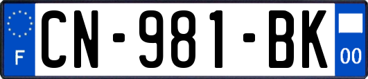 CN-981-BK