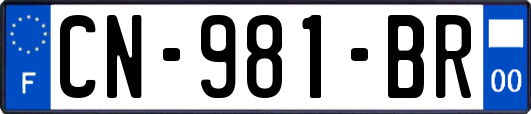 CN-981-BR