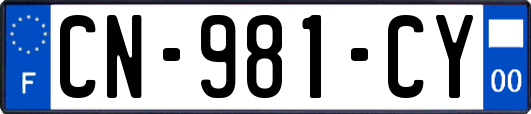CN-981-CY