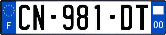 CN-981-DT