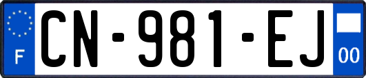 CN-981-EJ