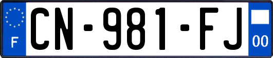 CN-981-FJ