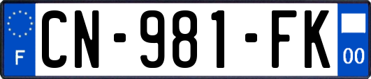 CN-981-FK