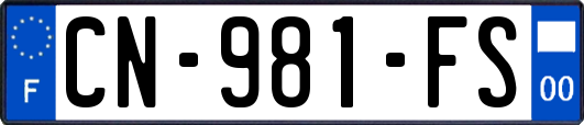 CN-981-FS