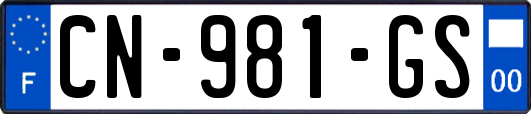 CN-981-GS