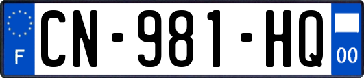 CN-981-HQ