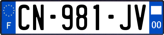 CN-981-JV