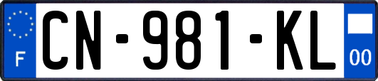 CN-981-KL