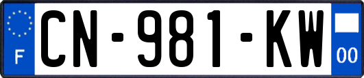 CN-981-KW