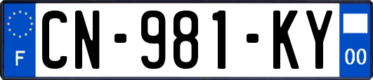 CN-981-KY