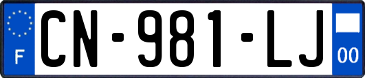 CN-981-LJ