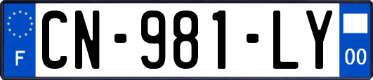 CN-981-LY