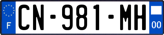 CN-981-MH