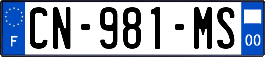 CN-981-MS