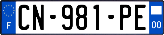 CN-981-PE
