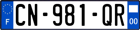 CN-981-QR