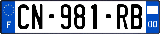 CN-981-RB