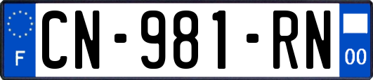 CN-981-RN