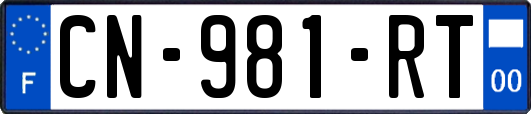 CN-981-RT