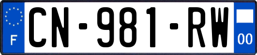 CN-981-RW