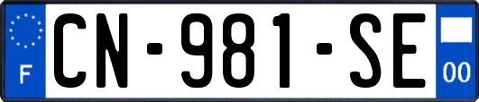 CN-981-SE