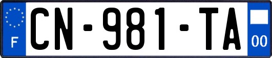 CN-981-TA