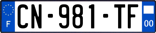 CN-981-TF