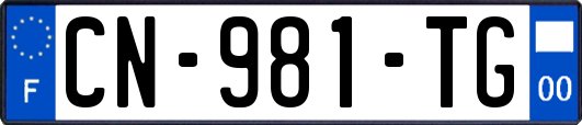 CN-981-TG