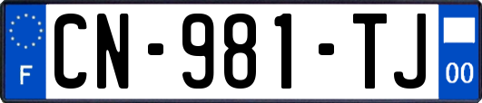 CN-981-TJ