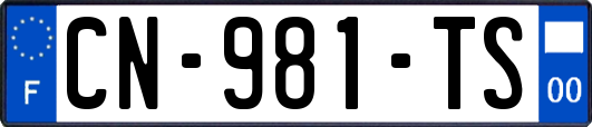 CN-981-TS