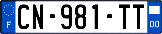 CN-981-TT