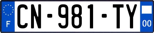 CN-981-TY