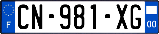 CN-981-XG