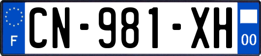 CN-981-XH