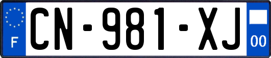 CN-981-XJ