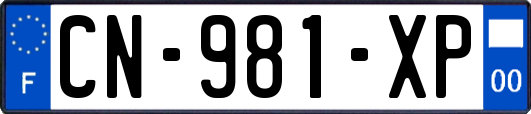 CN-981-XP