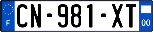 CN-981-XT
